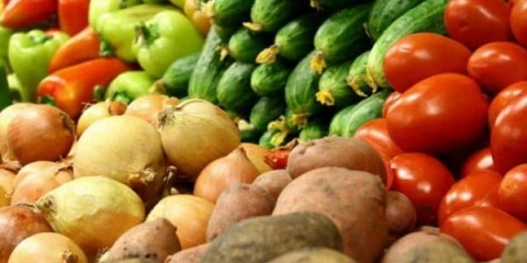 Kako uzgajati krastavce za prodaju: rastući poslovni plan